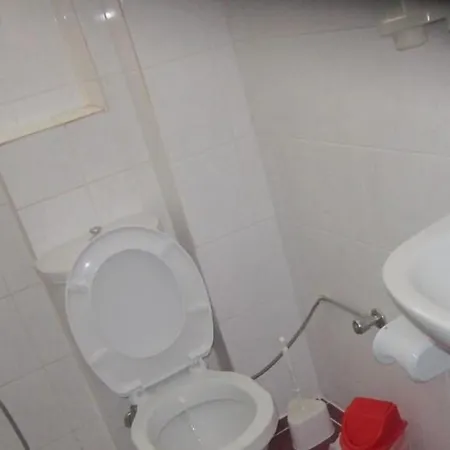 Red Rose אולודניץ